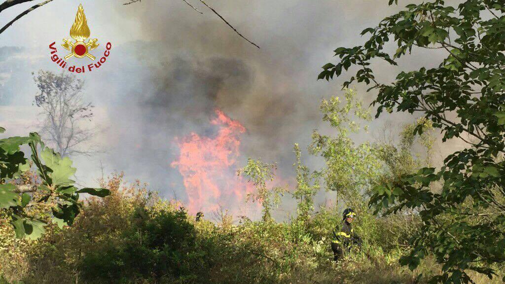 Fiamme nel bosco sulle colline di Parrana