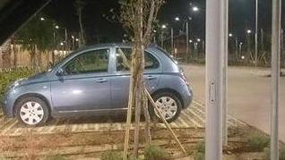 Auto parcheggiate al posto dei banchi «Si perdono soldi»