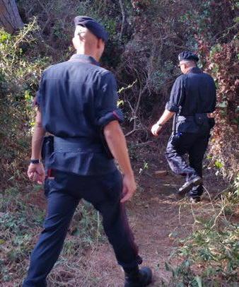 Sequestrate coca e marijuana in pineta 