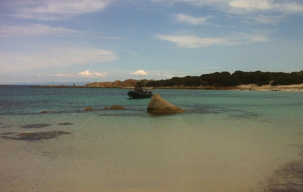 Diportisti in aree vietate, denunciati 