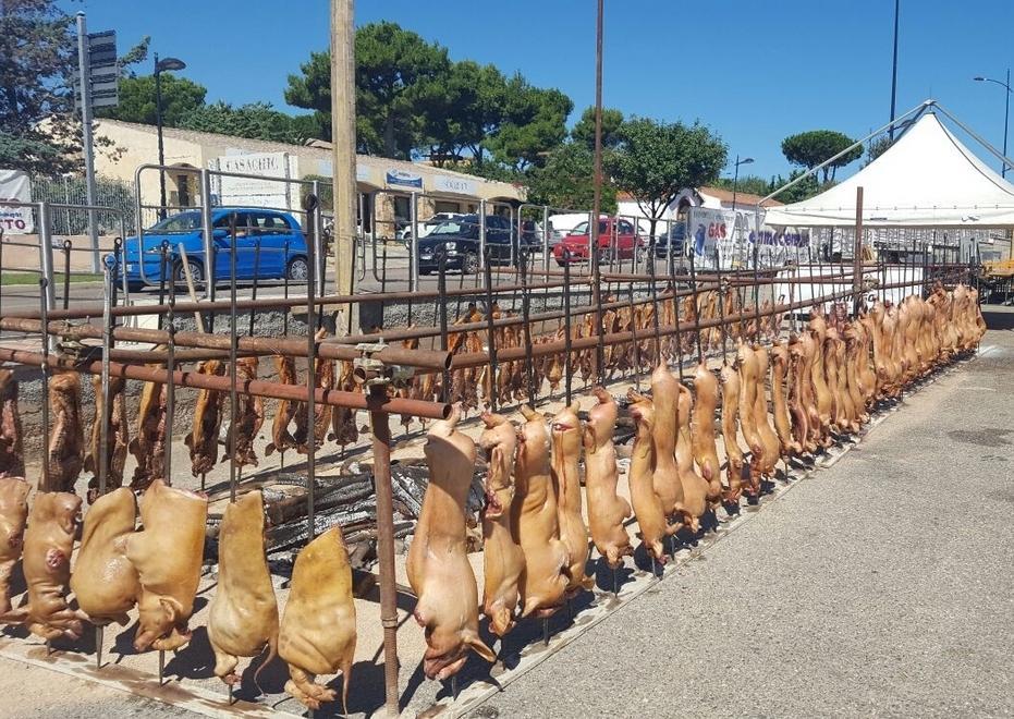 Birra e porcetto, il successo è assicurato