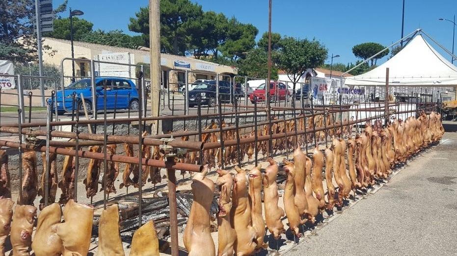 Birra e porcetto, il successo è assicurato