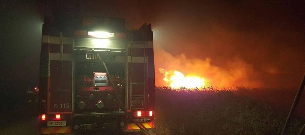 Busachi, incendio doloso in un’azienda agricola 