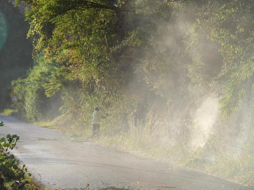Fiamme vicino al resort di Protti 