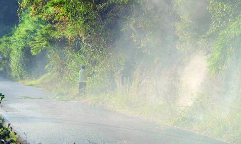 Fiamme vicino al resort di Protti