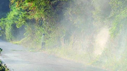 Fiamme vicino al resort di Protti