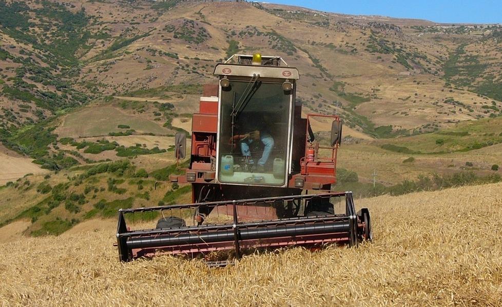 Pattada, incontro sullo sviluppo con il Gal 