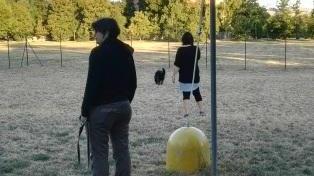 «Area di sgambamento, polemiche e nessun rimedio»