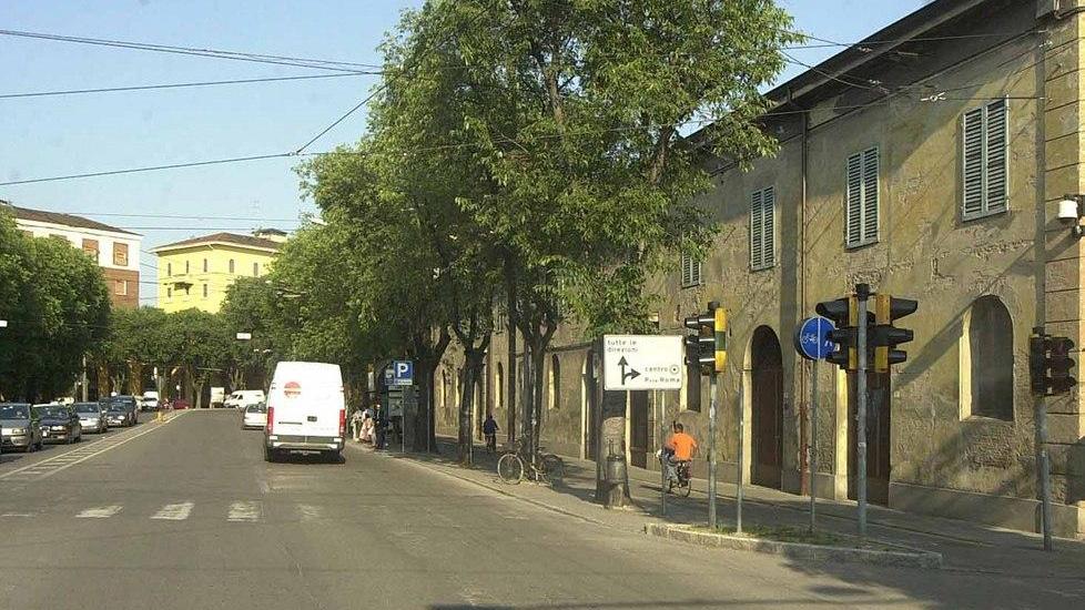 Il Comune rimuove altri 15 alberi in centro città