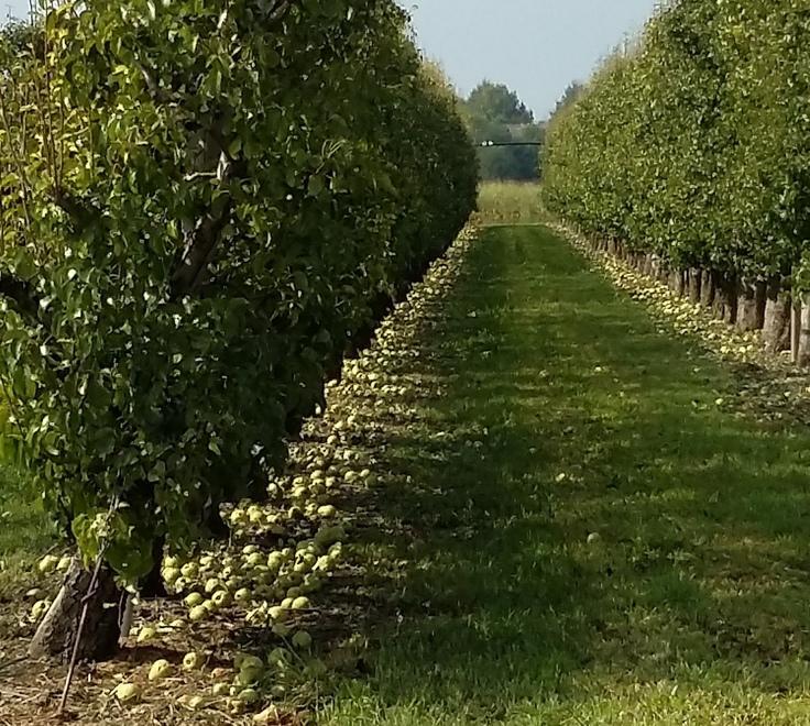 Coldiretti:«Spariti interi raccolti in Valle Panaro» 