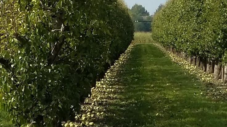 Coldiretti:«Spariti interi raccolti in Valle Panaro»
