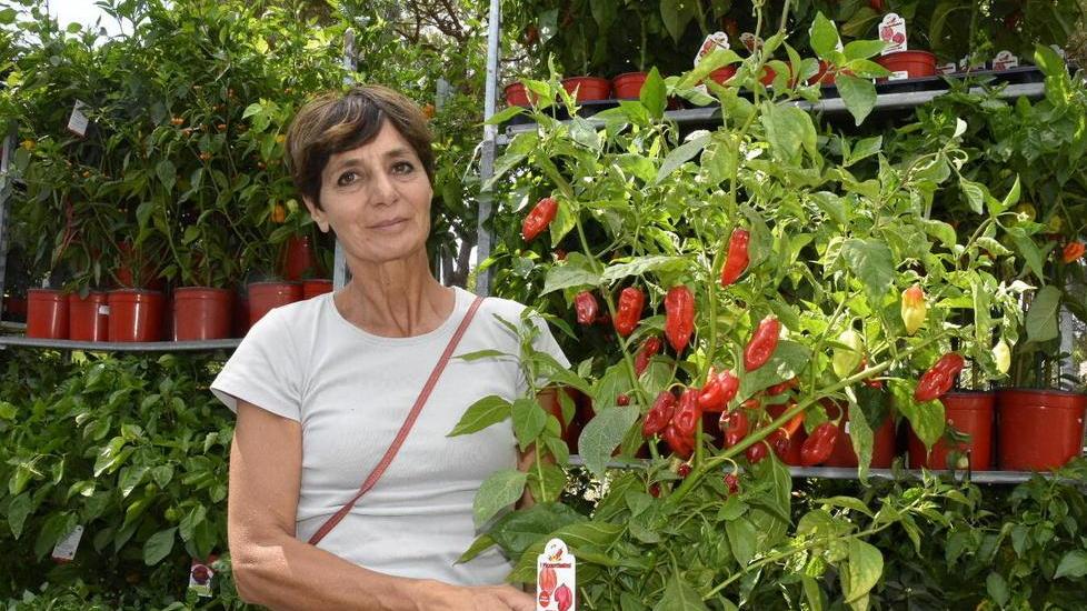 Loretta Teresini,la titolare del vivaio, con i peperoncini in mostra