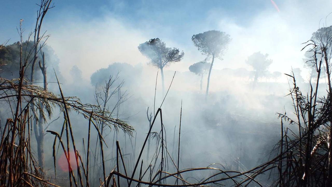 Un’immagine dell’incendio scoppiato ieri agli Affitti (foto Pabar)