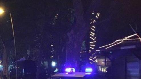 Operazione in pineta di Ponente