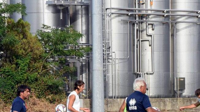 Attesi nuovi arrivi in casa biancorossa