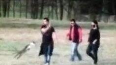 Presero a calci un cucciolo, in tre finiscono sotto processo