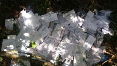 Le bollette gettate nel bosco