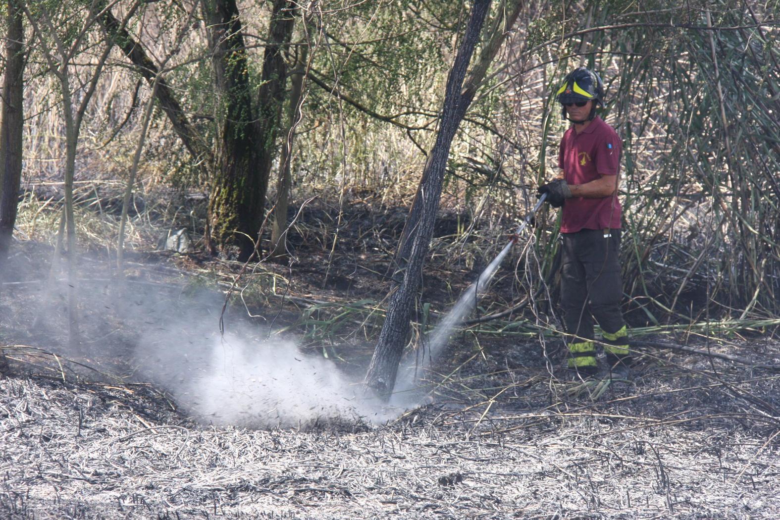 Un vigile del fuoco doma un incendio di sterpaglie (archivio)