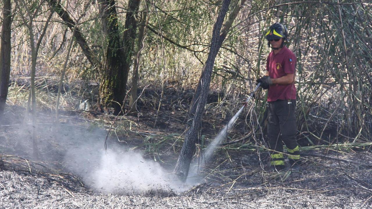 Un vigile del fuoco doma un incendio di sterpaglie (archivio)
