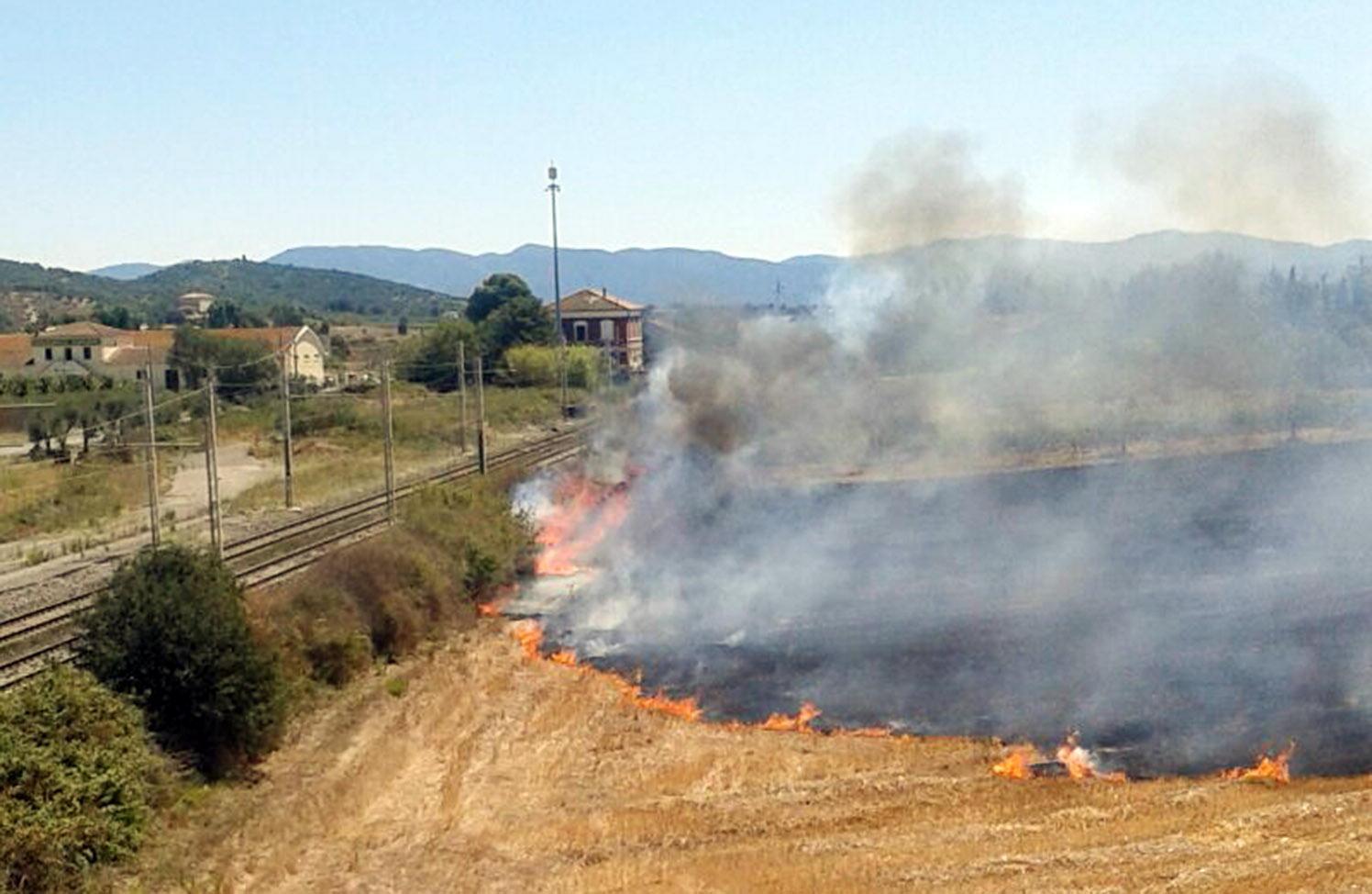 L'incendio scoppiato lungo la ferrovia a Vignale Riotorto (foto Pabar)