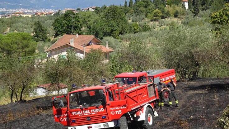In fiamme sopra Quarrata quattro ettari di sterpaglie