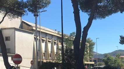 Ramo di pino cade su un cavo dell’Enel