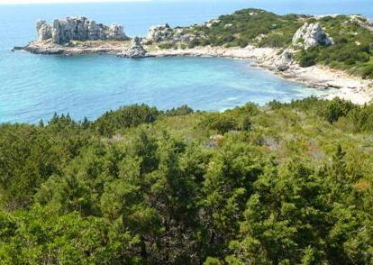 «Apriamo Pianosa alle barche da diporto» 