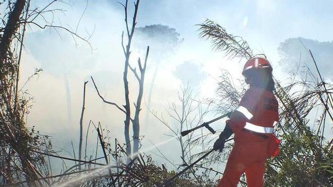 Incendio agli Affitti: sei ettari in fumo
