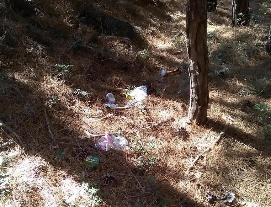 Accampamenti selvaggi dietro alle dune della Feniglia 