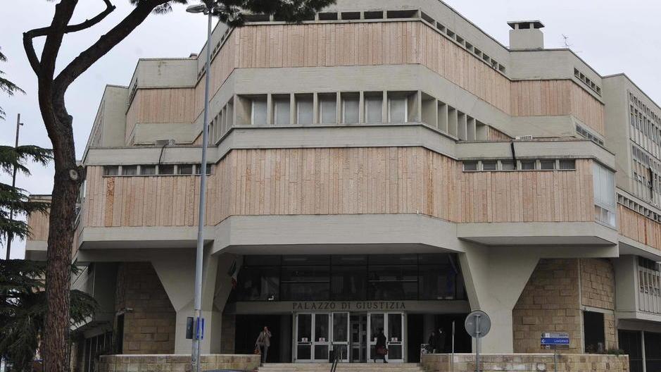 Coda mozzata e cucce in pessimo stato