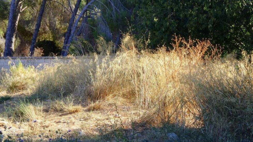 Pericolo di incendi a Baddimanna