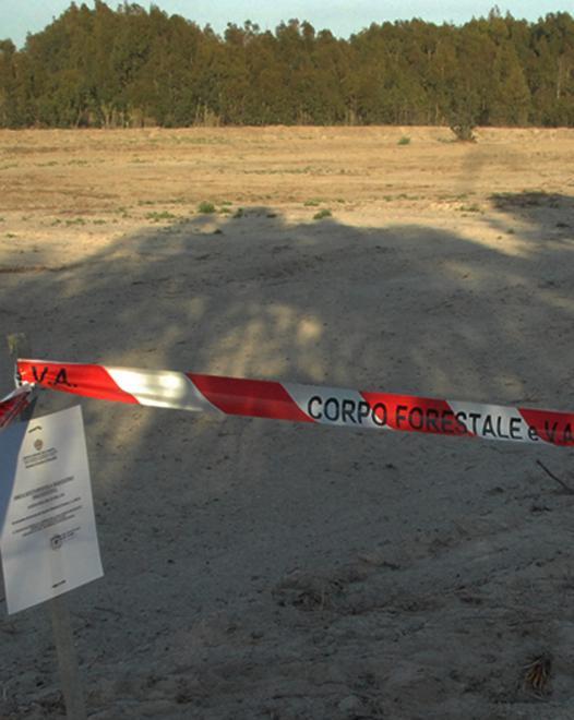 Sequestrata la palude “spianata” 