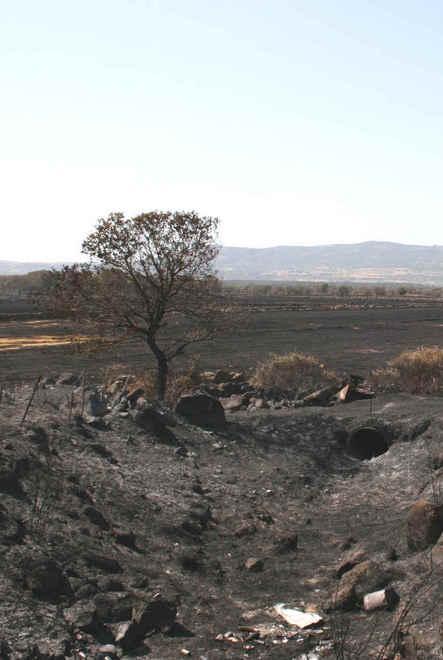 L’incendio di luglio ha distrutto anche tutte le recinzioni