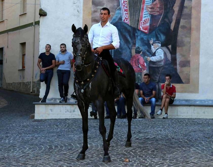 Cavalli, a Silanus il record per numero di allevamenti 
