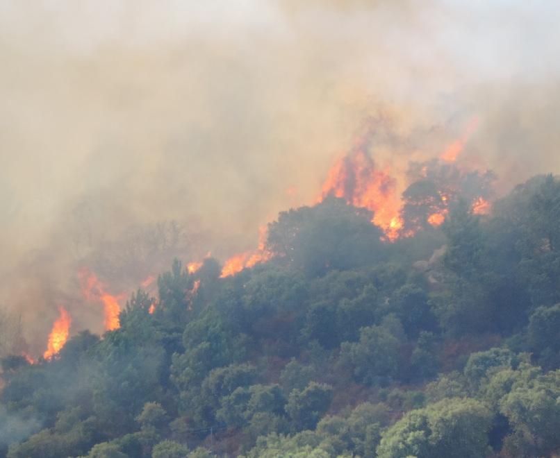 Alunni a lezione nelle zone colpite dal fuoco 