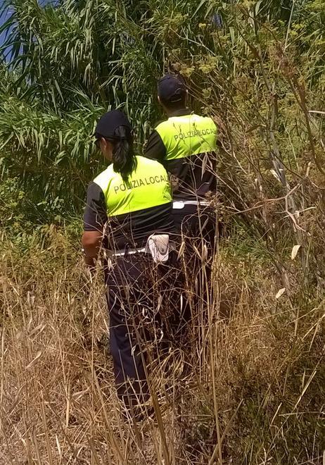 Erba alta nei terreni, pugno di ferro della polizia locale