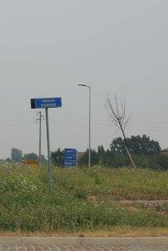 «Erbacce nelle rotatorie»