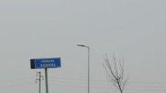 «Erbacce nelle rotatorie»