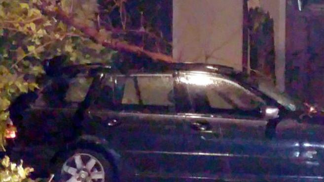 «Pochi istanti in più e l’albero mi avrebbe schiacciata nell’auto»