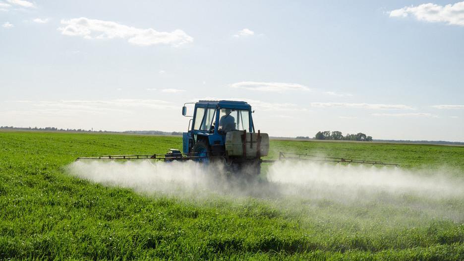 Glifosato, nessun bando I coltivatori respirano