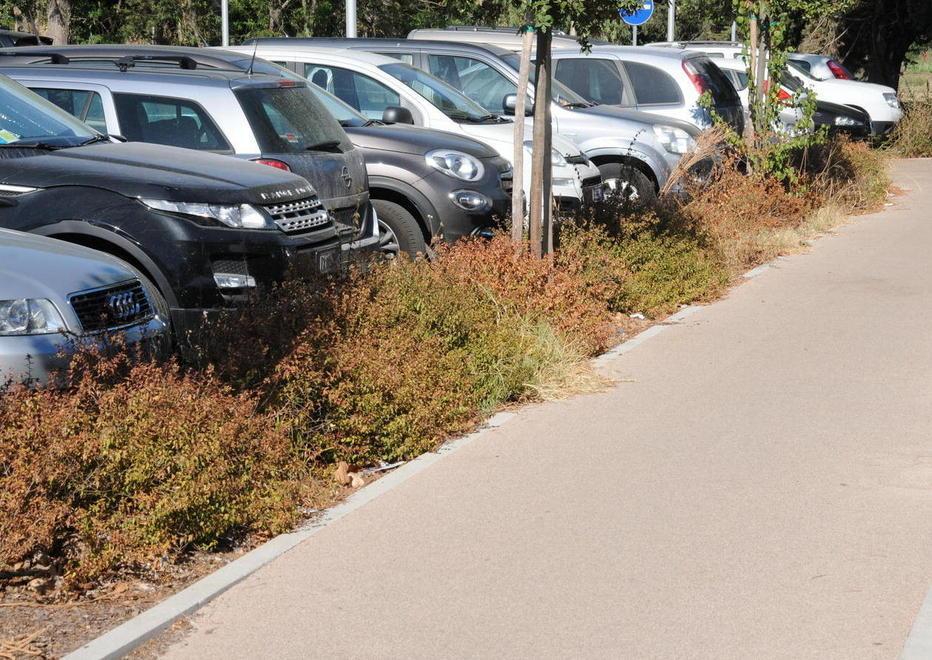 Erba alta e degrado nel parcheggio di via Apuania
