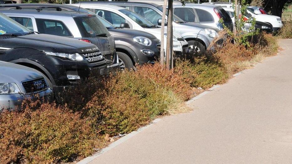 Erba alta e degrado nel parcheggio di via Apuania
