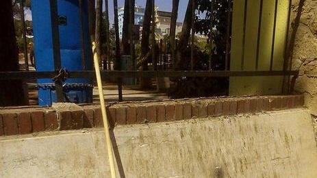 Panchine sporche di guano Le puliscono i cittadini