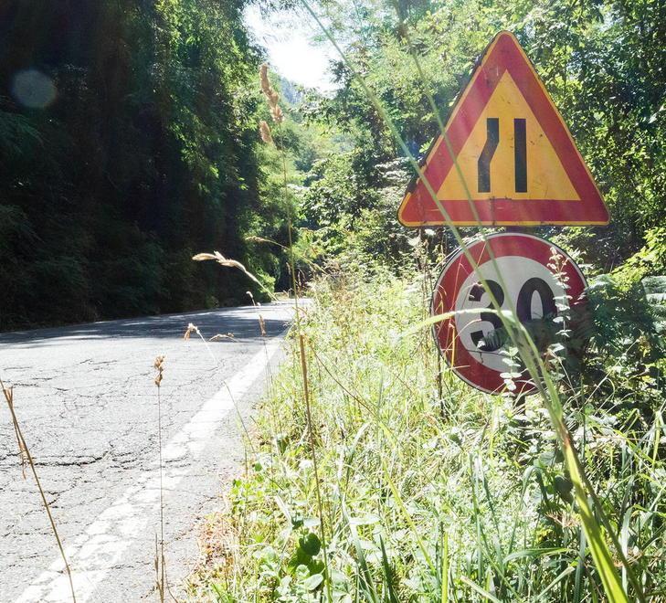 L’erba alta sulle strade la taglierà il Comune 