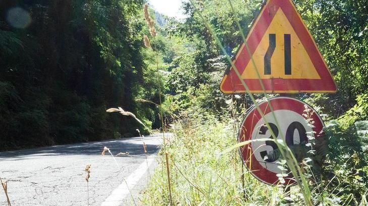 L’erba alta sulle strade la taglierà il Comune
