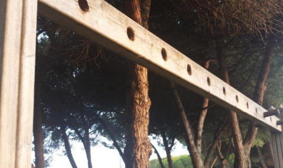 Campo scuola, attrezzature rotte e fuori uso