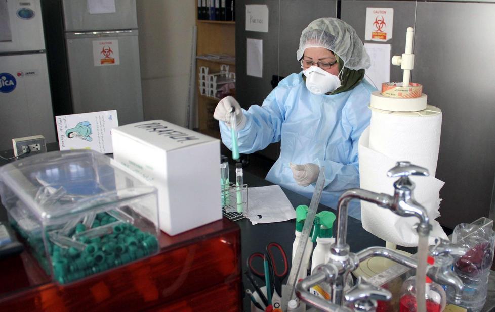 Trovato sparviero con la febbre del Nilo 