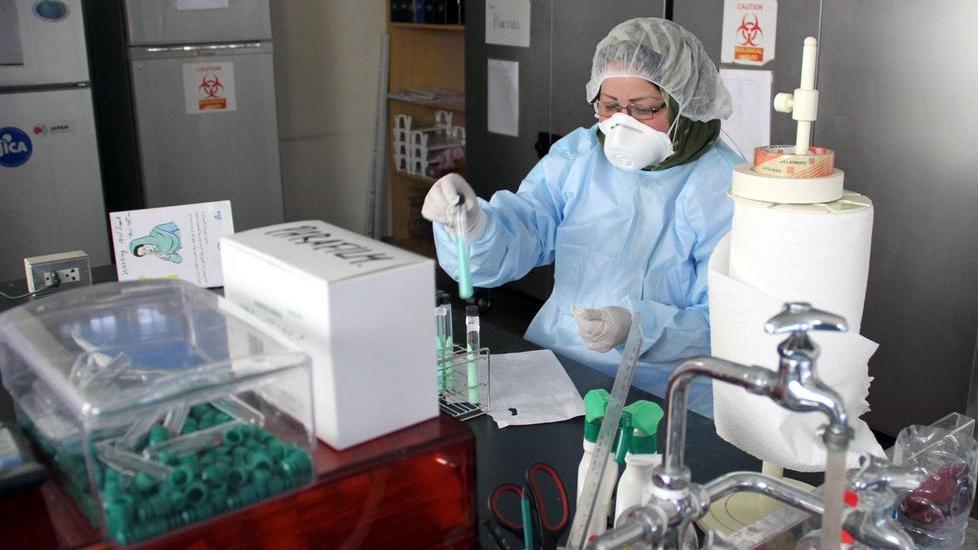 Trovato sparviero con la febbre del Nilo