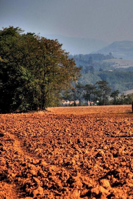 Primi effetti della siccità: limitazioni all’uso dell’acqua
