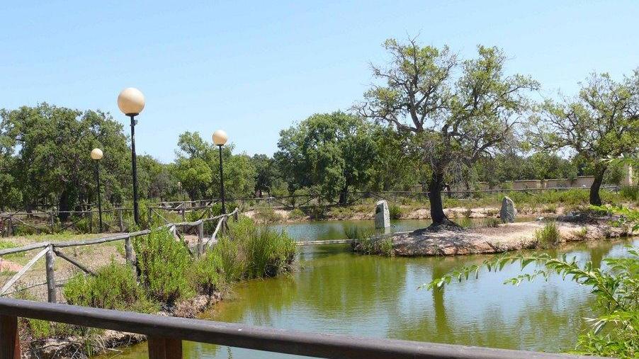 Un piccolo villaggio nuragico nel parco della Sughereta